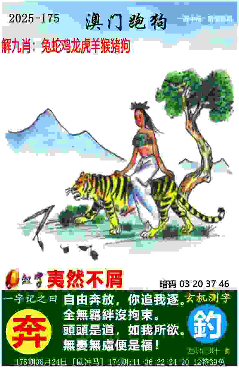 滑雪登山青年世界杯：中国队4金2铜 男子选手首次夺金